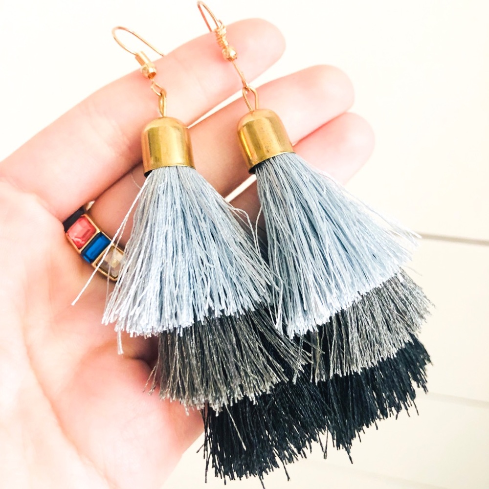 Fringe Dangley Earrings